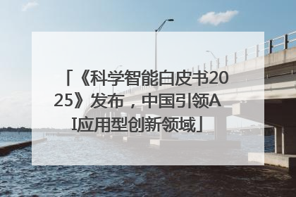 《科学智能白皮书2025》发布，中国引领AI应用型创新领域