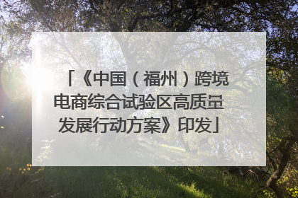 《中国（福州）跨境电商综合试验区高质量发展行动方案》印发