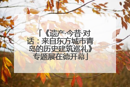 《遗产·今昔·对话：来自东方城市青岛的历史建筑巡礼》专题展在德开幕