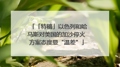 「特稿」以色列和哈马斯对美国的加沙停火方案态度显“温差”