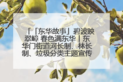 「东华故事」碧波映翠嶂 春色满东华丨东华门街道河长制、林长制、垃圾分类主题宣传如火如荼中