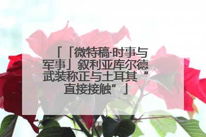「微特稿·时事与军事」叙利亚库尔德武装称正与土耳其“直接接触”