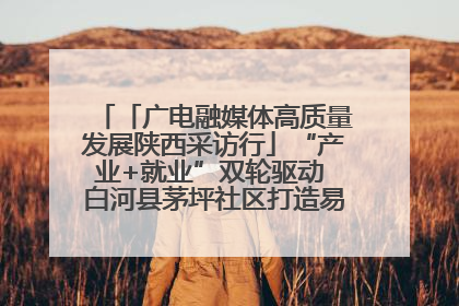 「广电融媒体高质量发展陕西采访行」“产业+就业”双轮驱动 白河县茅坪社区打造易地搬迁后扶新样本