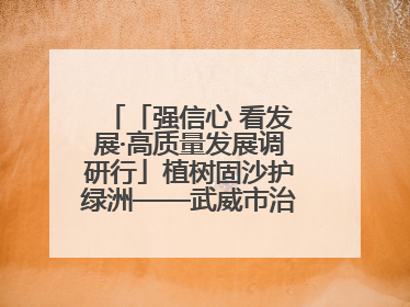 「强信心 看发展·高质量发展调研行」植树固沙护绿洲——武威市治沙造林筑牢生态安全屏障见闻