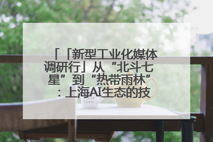 「新型工业化媒体调研行」从“北斗七星”到“热带雨林”：上海AI生态的技术商业共生密码