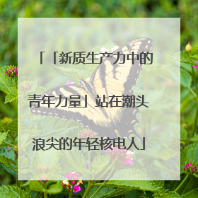 「新质生产力中的青年力量」站在潮头浪尖的年轻核电人