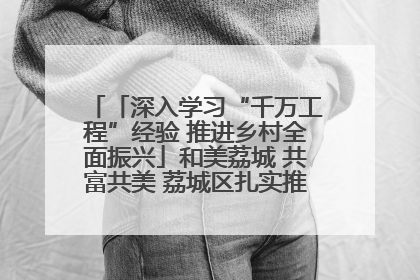「深入学习“千万工程”经验 推进乡村全面振兴」和美荔城 共富共美 荔城区扎实推进乡村振兴工作