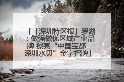 「深圳特区报」罗湖：做强做优区域产业品牌 擦亮“中国宝都 深圳水贝”金字招牌