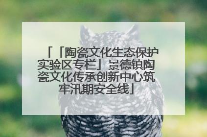 「陶瓷文化生态保护实验区专栏」景德镇陶瓷文化传承创新中心筑牢汛期安全线