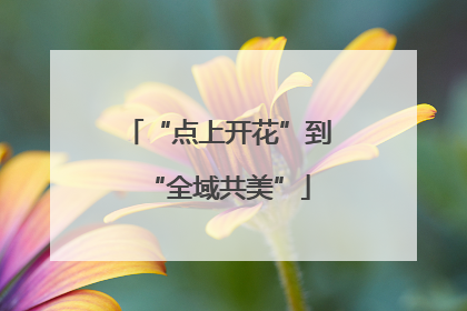 “点上开花”到“全域共美”
