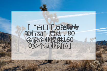 “百日千万招聘专项行动”启动，80余家企业提供1600多个就业岗位