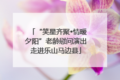 “笑星齐聚•情暖夕阳”老龄慰问演出走进乐山马边县