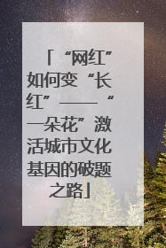 “网红”如何变“长红”——“一朵花”激活城市文化基因的破题之路