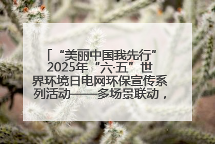 “美丽中国我先行” 2025年“六·五”世界环境日电网环保宣传系列活动——多场景联动，共筑生态发展新图景