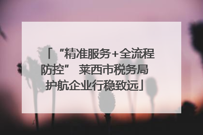“精准服务+全流程防控” 莱西市税务局护航企业行稳致远