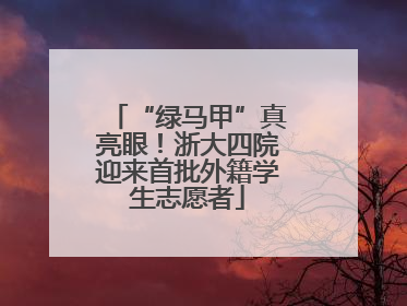 “绿马甲”真亮眼！浙大四院迎来首批外籍学生志愿者