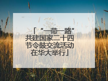 “一带一路”共建国家二十四节令鼓交流活动在华大举行