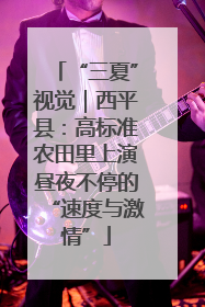 “三夏”视觉｜西平县：高标准农田里上演昼夜不停的“速度与激情”
