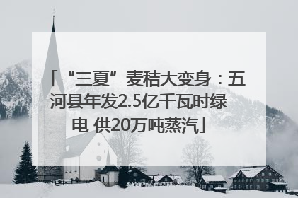 “三夏”麦秸大变身：五河县年发2.5亿千瓦时绿电 供20万吨蒸汽