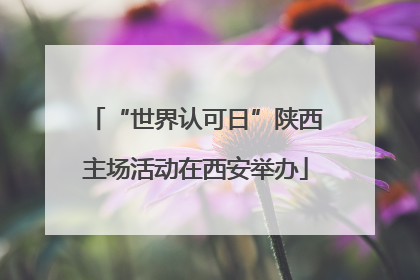 “世界认可日”陕西主场活动在西安举办