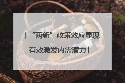 “两新”政策效应显现 有效激发内需潜力