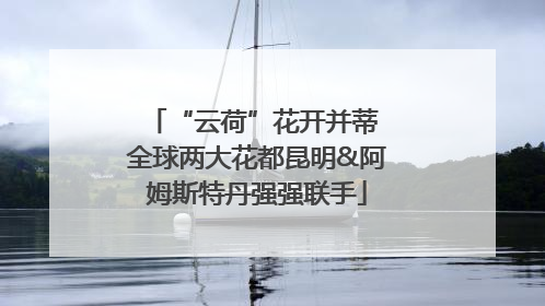 “云荷”花开并蒂 全球两大花都昆明&阿姆斯特丹强强联手