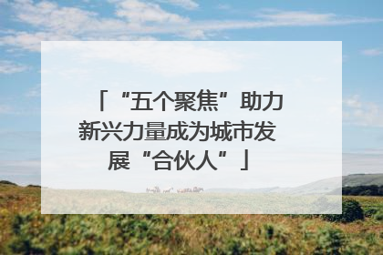 “五个聚焦”助力新兴力量成为城市发展“合伙人”