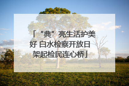 “典”亮生活护美好 白水检察开放日架起检民连心桥
