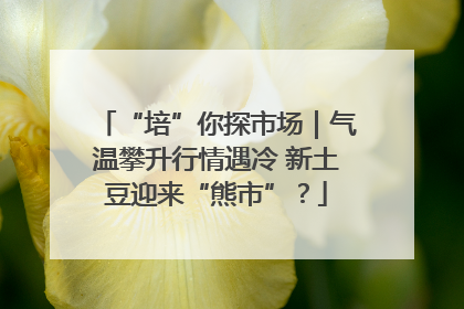“培”你探市场｜气温攀升行情遇冷 新土豆迎来“熊市”？