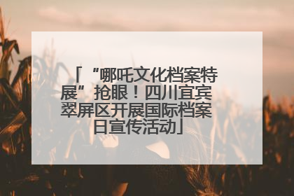 “哪吒文化档案特展”抢眼！四川宜宾翠屏区开展国际档案日宣传活动