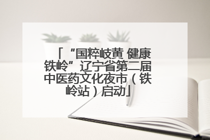 “国粹岐黄 健康铁岭”辽宁省第二届中医药文化夜市（铁岭站）启动