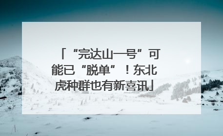 “完达山一号”可能已“脱单”！东北虎种群也有新喜讯