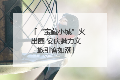 “宝藏小城”火出圈 安庆魅力文旅引客如潮