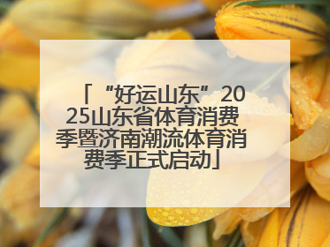 “好运山东”2025山东省体育消费季暨济南潮流体育消费季正式启动
