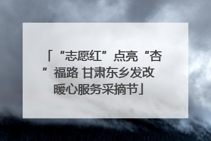 “志愿红”点亮“杏”福路 甘肃东乡发改暖心服务采摘节