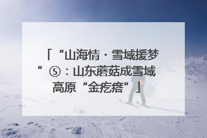 “山海情・雪域援梦”⑤：山东蘑菇成雪域高原“金疙瘩”