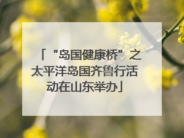 “岛国健康桥”之太平洋岛国齐鲁行活动在山东举办