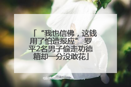 “我也信佛，这钱用了怕遭报应” 罗平2名男子偷走功德箱却一分没敢花