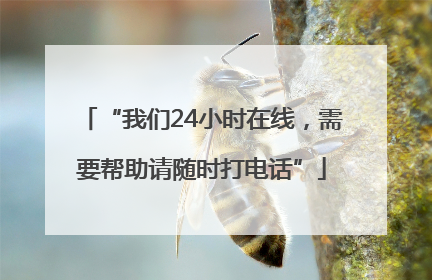 “我们24小时在线，需要帮助请随时打电话”