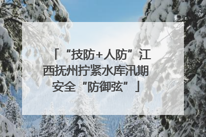 “技防+人防”江西抚州拧紧水库汛期安全“防御弦”