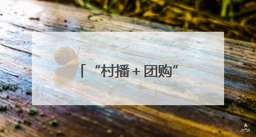 “村播＋团购”双引擎发力 带动10万农户增收