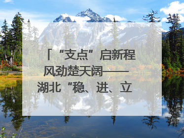 “支点”启新程 风劲楚天阔——湖北“稳、进、立、破”谱写“荆”彩篇章