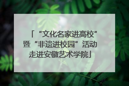“文化名家进高校”暨“非遗进校园”活动走进安徽艺术学院