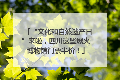 “文化和自然遗产日”来啦，四川这些爆火博物馆门票半价！