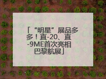 “明星”展品多多！直-20、直-9ME首次亮相巴黎航展
