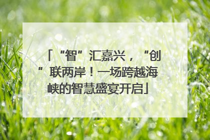 “智”汇嘉兴，“创”联两岸！一场跨越海峡的智慧盛宴开启