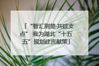 “智汇荆楚·共建支点” 我为湖北“十五五”规划建言献策