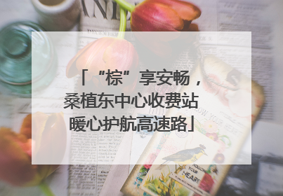 “棕”享安畅，桑植东中心收费站暖心护航高速路