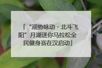 “潮势咏动・北斗飞阳”月湖迷你马拉松全民健身赛在汉启动