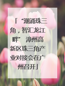 “潮涌珠三角，智汇龙江畔” 漳州高新区珠三角产业对接会在广州召开